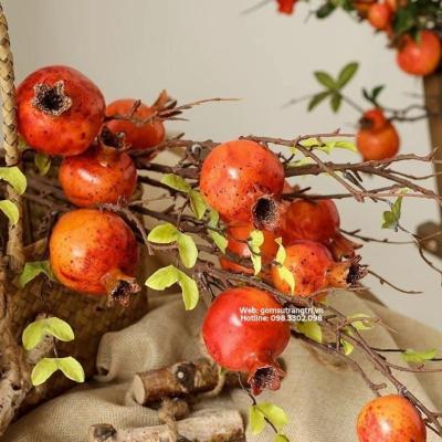 LỰU ĐỔ MAY MẮN - PHÚC LỘC SUM VẦY